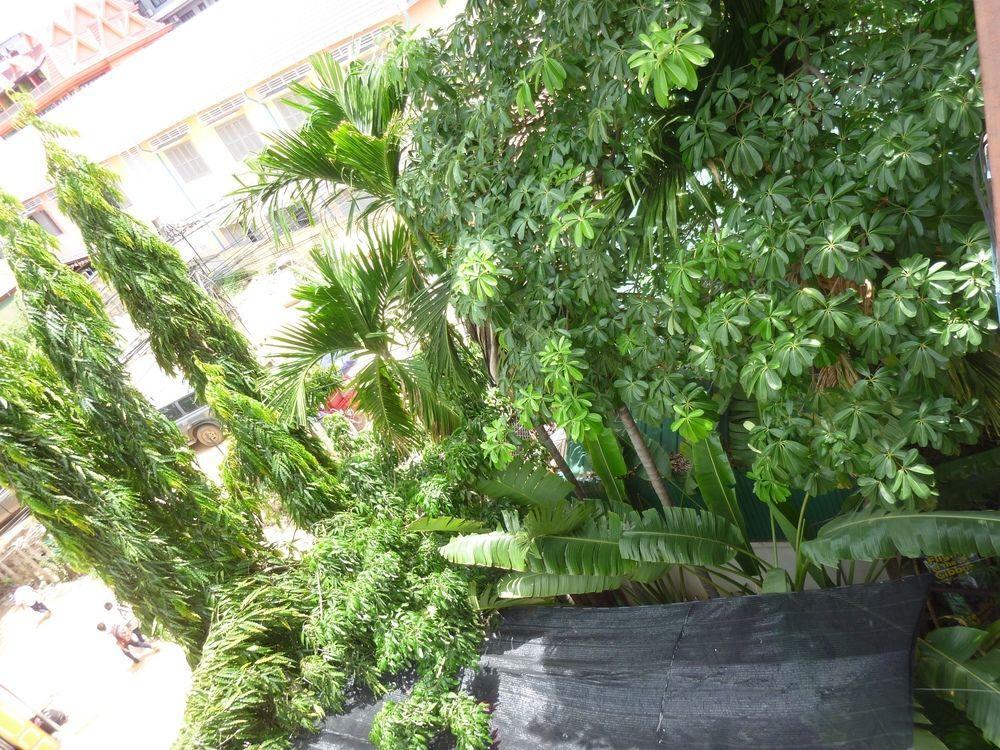 Angkor Reas Guesthouse 시엠리아프 외부 사진
