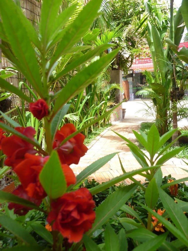 Angkor Reas Guesthouse 시엠리아프 외부 사진