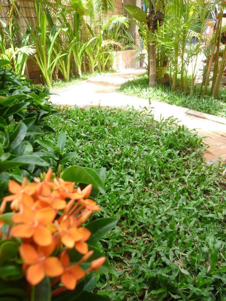 Angkor Reas Guesthouse 시엠리아프 외부 사진